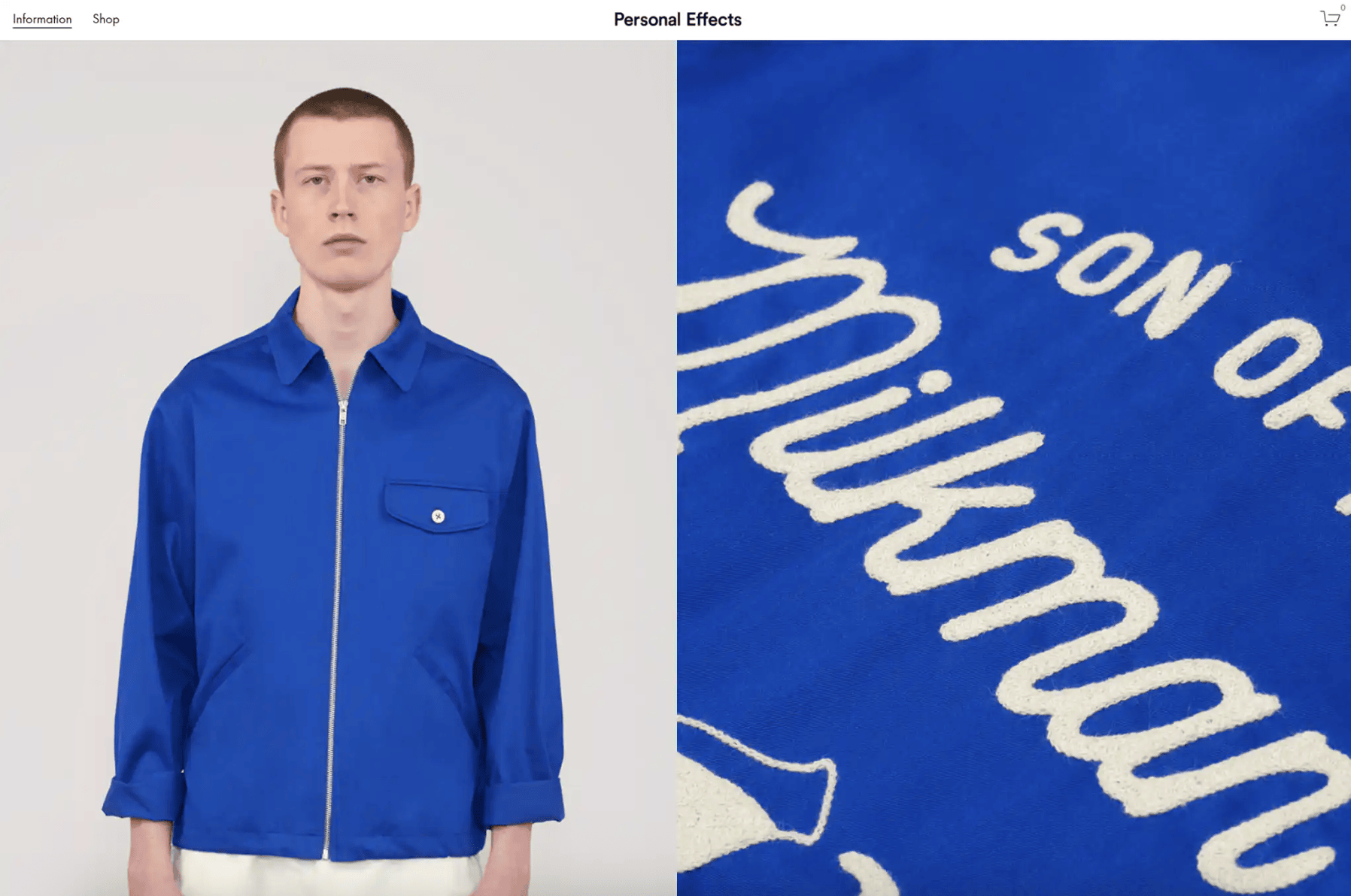 Preview Website